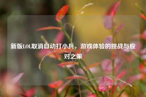 新版LOL取消自动打小兵,游戏体验的挑战与应对之策
