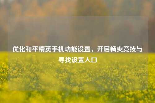 优化和平精英手机功能设置,开启畅爽竞技与寻找设置入口