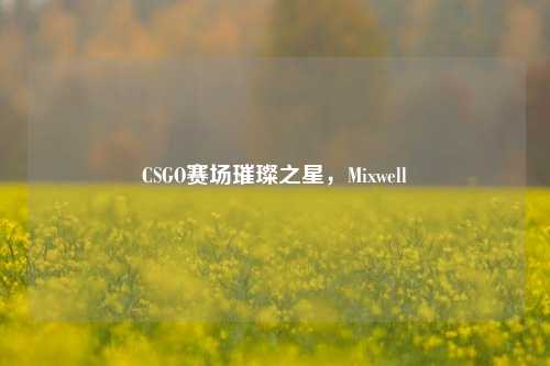 CSGO赛场璀璨之星,Mixwell