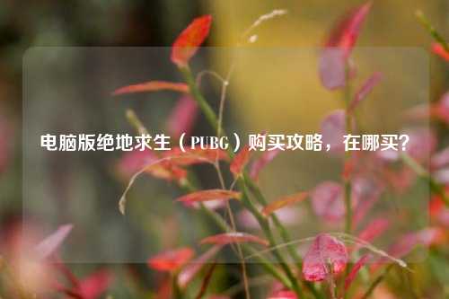 电脑版绝地求生（PUBG）购买攻略，在哪买？