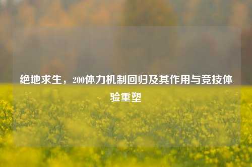 绝地求生,200体力机制回归及其作用与竞技体验重塑