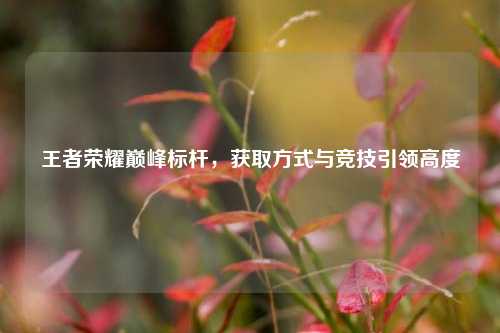 王者荣耀巅峰标杆，获取方式与竞技引领高度