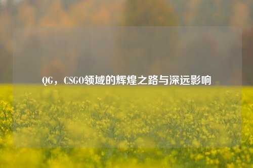 QG,CSGO领域的辉煌之路与深远影响