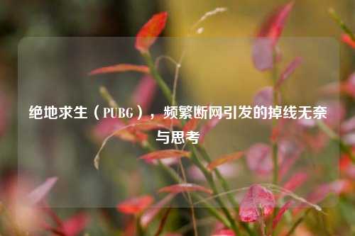 绝地求生(PUBG),频繁断网引发的掉线无奈与思考