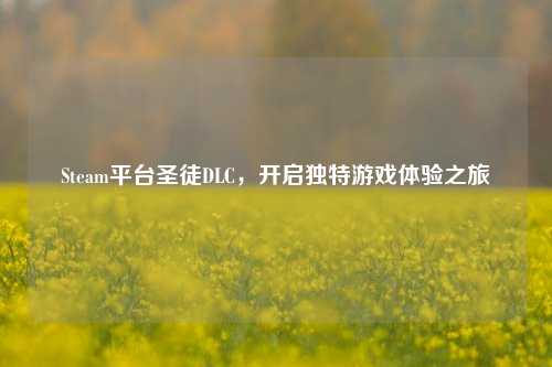 Steam平台圣徒DLC，开启独特游戏体验之旅