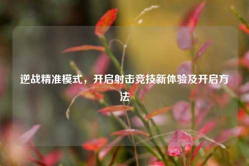 逆战精准模式，开启射击竞技新体验及开启方法