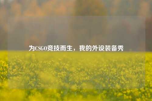 为CSGO竞技而生,我的外设装备秀