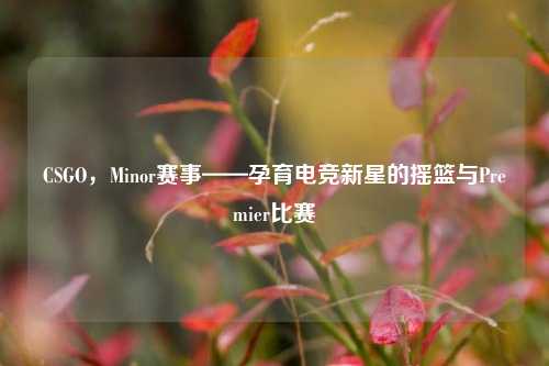 CSGO,Minor赛事——孕育电竞新星的摇篮与Premier比赛