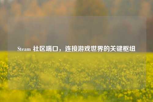 Steam 社区端口，连接游戏世界的关键枢纽
