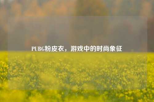 PUBG粉皮衣，游戏中的时尚象征