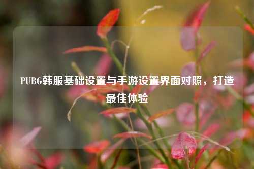 PUBG韩服基础设置与手游设置界面对照，打造最佳体验