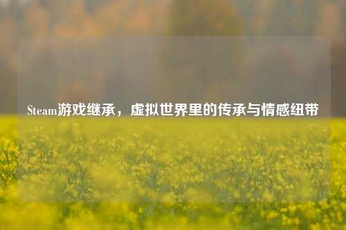 Steam游戏继承，虚拟世界里的传承与情感纽带