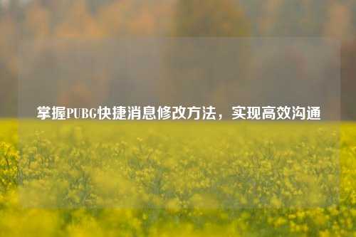 掌握PUBG快捷消息修改方法,实现高效沟通