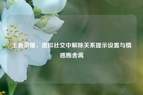 王者荣耀，虚拟社交中解除关系提示设置与情感断舍离