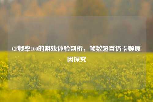 CF帧率100的游戏体验剖析,帧数超百仍卡顿原因探究
