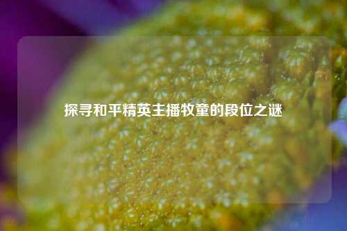 探寻和平精英主播牧童的段位之谜