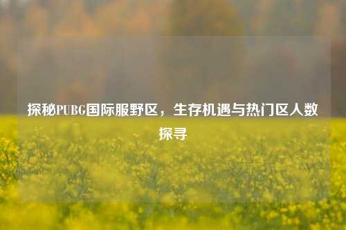 探秘PUBG国际服野区，生存机遇与热门区人数探寻