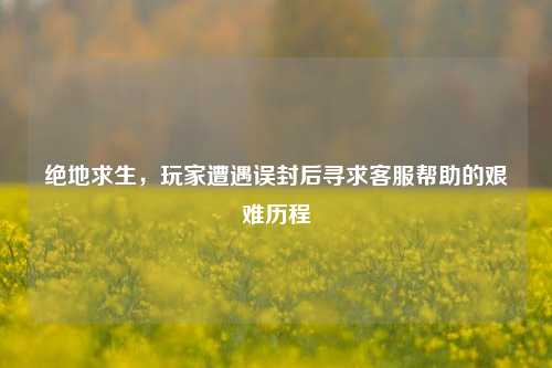 绝地求生,玩家遭遇误封后寻求客服帮助的艰难历程