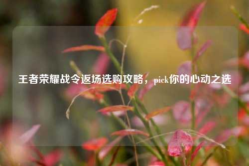 王者荣耀战令返场选购攻略,pick你的心动之选