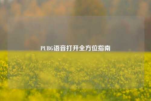 PUBG语音打开全方位指南