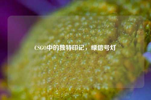 CSGO中的独特印记,绿信号灯