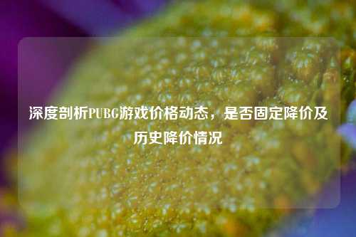 深度剖析PUBG游戏价格动态，是否固定降价及历史降价情况