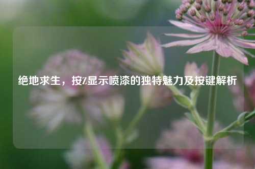 绝地求生,按Z显示喷漆的独特魅力及按键解析