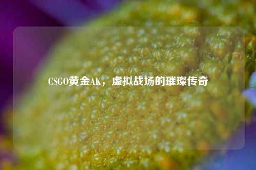 CSGO黄金AK,虚拟战场的璀璨传奇