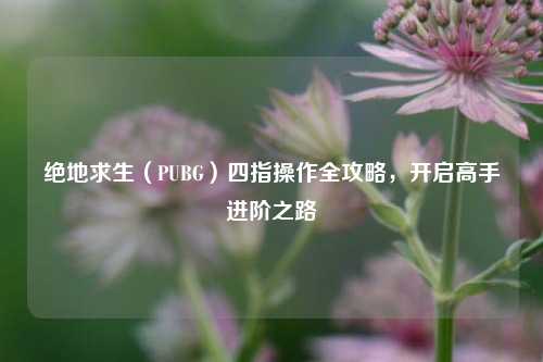 绝地求生(PUBG)四指操作全攻略,开启高手进阶之路