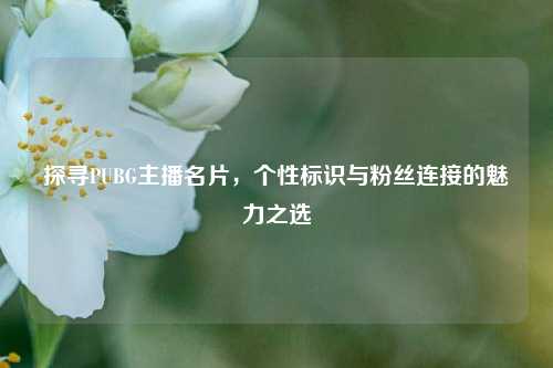 探寻PUBG主播名片,个性标识与粉丝连接的魅力之选