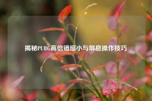 揭秘PUBG高倍镜缩小与屏息操作技巧