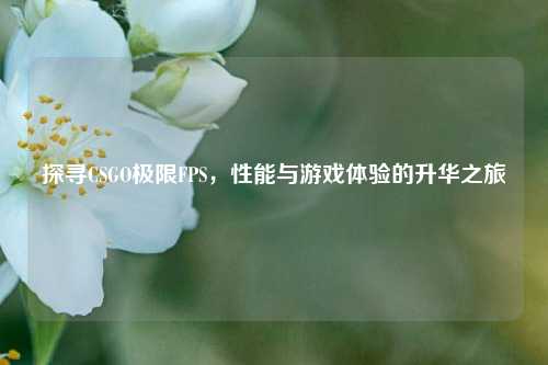 探寻CSGO极限FPS,性能与游戏体验的升华之旅