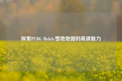 探索PUBG Mobile雪地地图的高清魅力