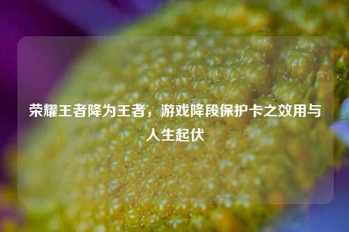 荣耀王者降为王者,游戏降段保护卡之效用与人生起伏