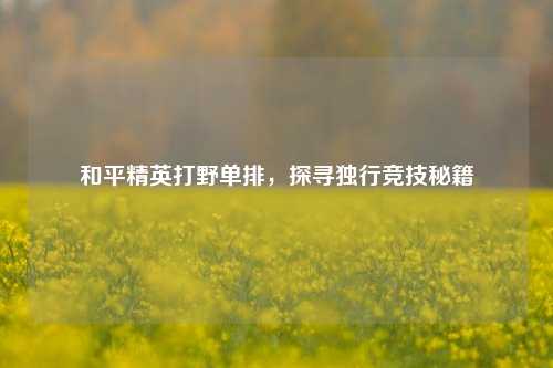 和平精英打野单排,探寻独行竞技秘籍