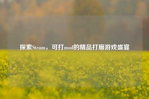 探索Steam,可打mod的精品打磨游戏盛宴