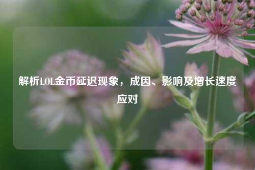 解析LOL金币延迟现象,成因、影响及增长速度应对