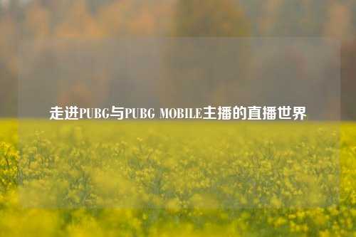 走进PUBG与PUBG MOBILE主播的直播世界