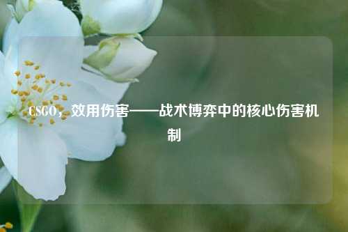 CSGO，效用伤害——战术博弈中的核心伤害机制