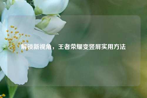 解锁新视角,王者荣耀变竖屏实用方法