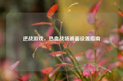 逆战游戏，热血战场画面设置指南