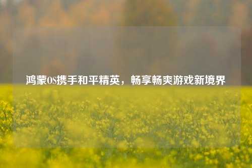 鸿蒙OS携手和平精英,畅享畅爽游戏新境界