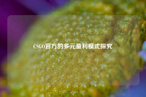 CSGO官方的多元盈利模式探究