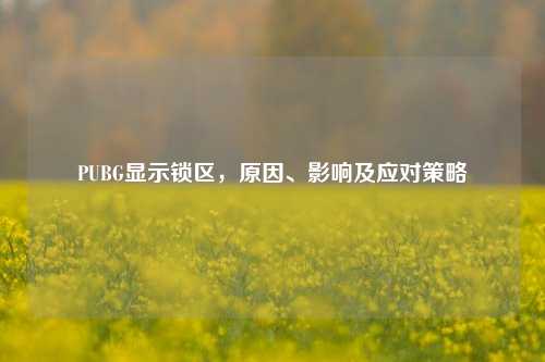 PUBG显示锁区,原因、影响及应对策略