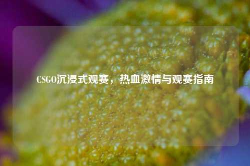 CSGO沉浸式观赛,热血激情与观赛指南