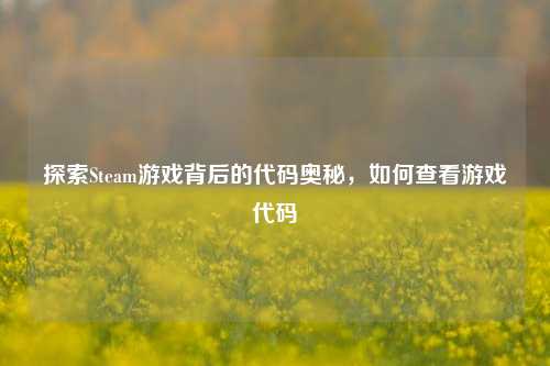 探索Steam游戏背后的代码奥秘，如何查看游戏代码
