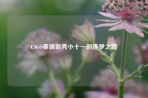 CSGO赛场新秀小十一的逐梦之路