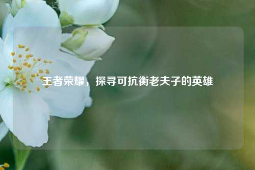 王者荣耀，探寻可抗衡老夫子的英雄