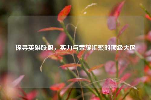 探寻英雄联盟,实力与荣耀汇聚的顶级大区