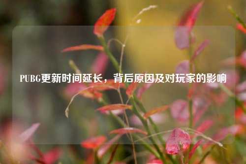 PUBG更新时间延长,背后原因及对玩家的影响